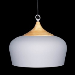 Aluminum pendant light