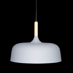 Aluminum pendant light