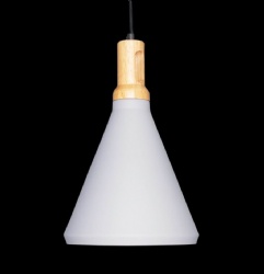Aluminum pendant light