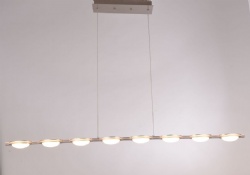 LED Decoration Hanging Light