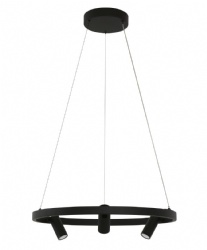LED Iron Pendant Light