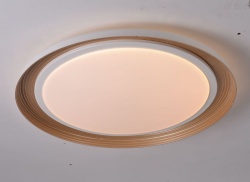 High Quality Ceiling Lamp Simple Design LED Ceiling Light