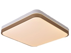 Mount Flush Square LED ceiling lamp